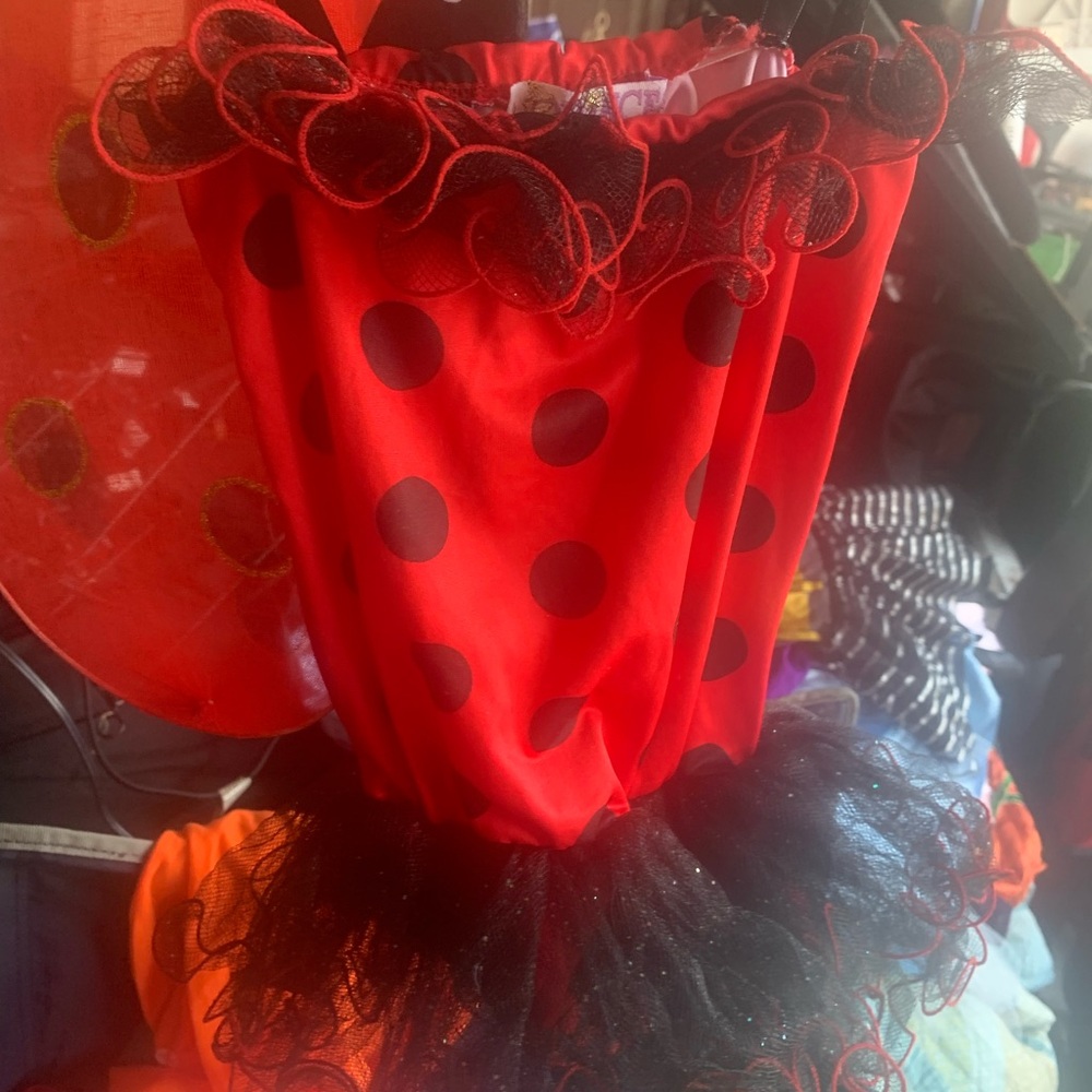 Costume - Picture 2 of 2